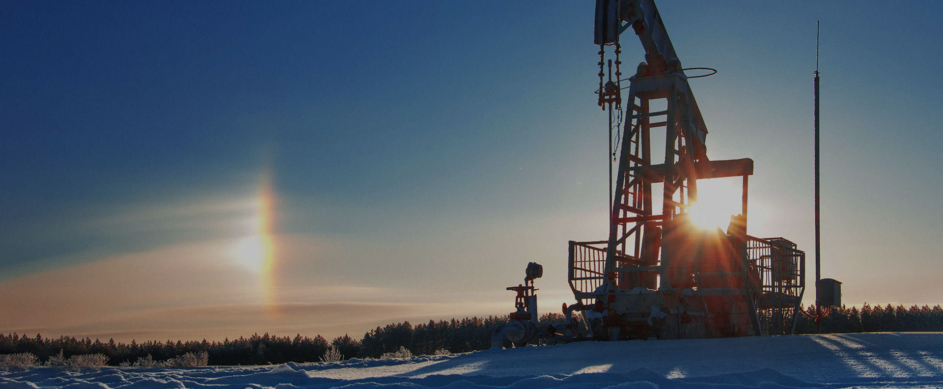 Petrokemisk industri